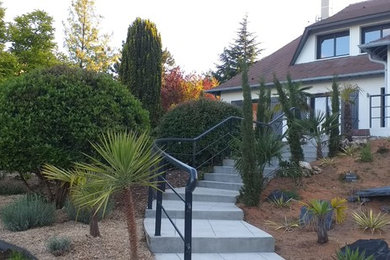 Idée de décoration pour un jardin marin.