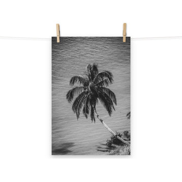 Palm Over Water Black and White Tropical Botanical Unframed Wall Art Print, 12" X 18"