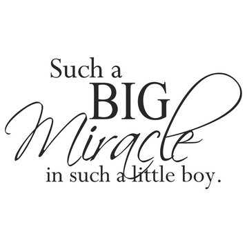 Decal Wall Sticker Such A Big Miracle In Such A Little Boy Quote, Black