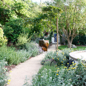 Sherman Oaks California Native and Australian Garden