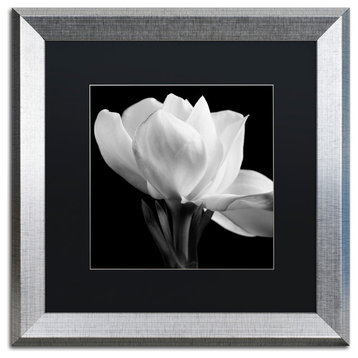'Gardenia' Silver Framed Canvas Art by Michael Harrison