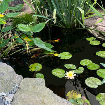 Japanese Garden