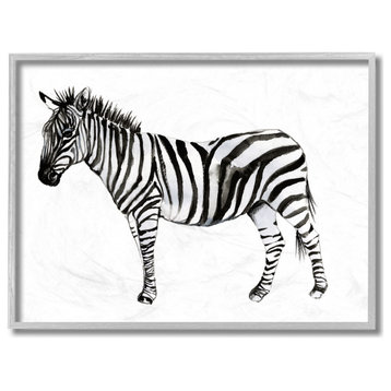 Zebra Standing Black and White Watercolor Animal Painting, 16"x20", Gray Frame