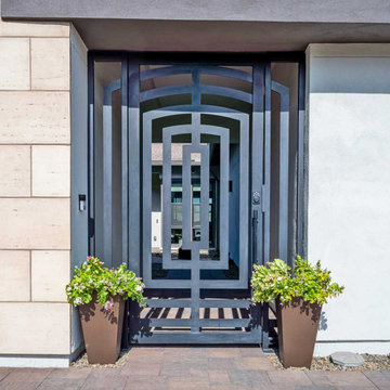 Custom Optical Iron Gate