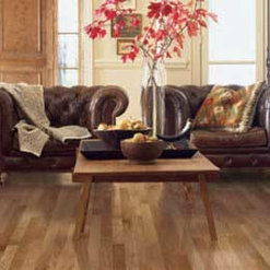Fogel S Fine Floors Augusta Ga Us 30909 Fogel S Fine Floors Augusta Ga Us 30909