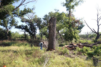 Uvalde TX Pecan Tree Salvaging & Re-purposing