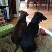 Carol Flanagan's photo