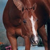 Julie Bernick's photo