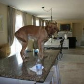 Jessica Sacco Weisbrod's photo