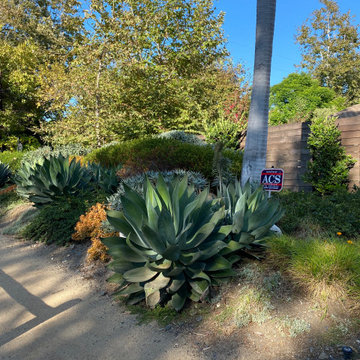 CURB APPEAL......Mandeville canyon, Los Angeles, California