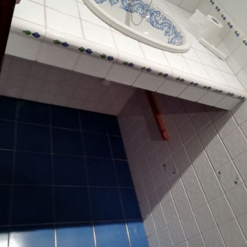 Reforma Aseo Ana antes