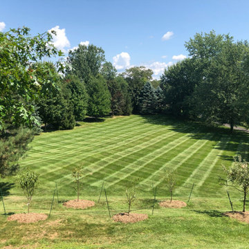 Lawn Services
