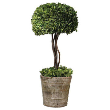 Uttermost 60095 Tree Topiary - 33" Preserved Boxwood