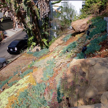 Hillside Tapestry : Private Residence