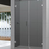 Radiance Frameless Hinged Shower Door w/ 30" Panel, Clear 3/8" Glass Door