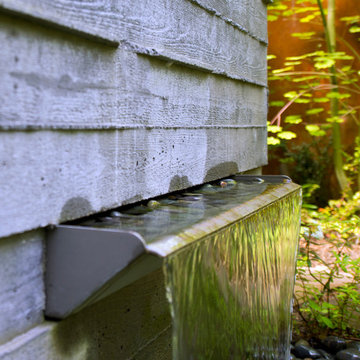 Madison Park Landscape Renovation