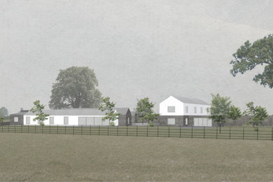 Design ideas for a contemporary home in Limerick.