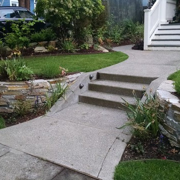 whole yard #3
