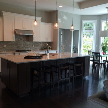 Contemporary Style New Home