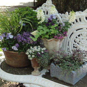 Container Gardens