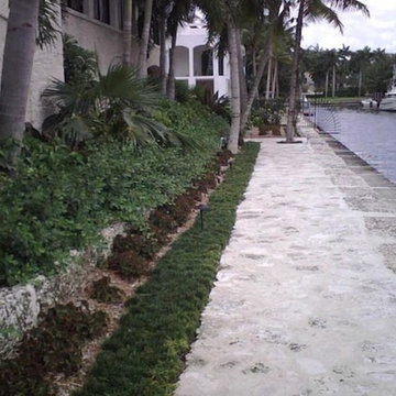 Coconut Grove