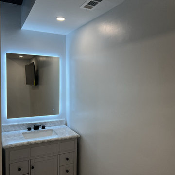 Basement Remodel