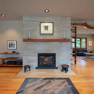 Sunset Hill Fireplace Renovation