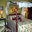 Draperies By Design