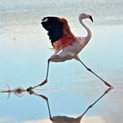 Maureen Spector's photo
