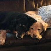 Kim Reilly's photo