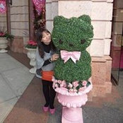 Cheong Jasmins foto