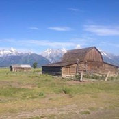 Joe Boruch's photo