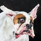 Chris Braun's photo