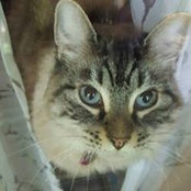 Abby Worton's photo