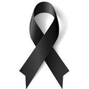 Mario Artavia's photo