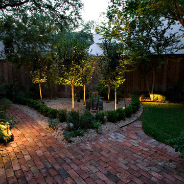 Up-Lighting Trees