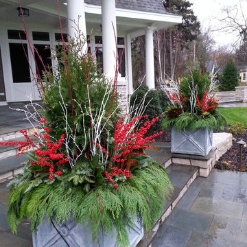 Winter Container Gardens