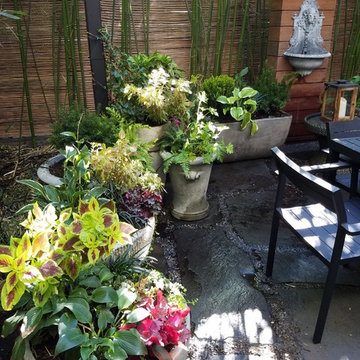 Gowanus Backyard