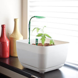 Fertile Earth Simple Garden Starter Kit in White - Outdoor Pots And Planters