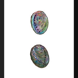 Fine Art Prints-Abalone - Products