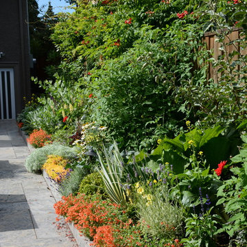 Raised Vegetable Bed / Ornamental Garden 2016