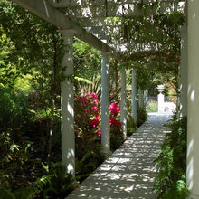 Garden - Pergola - Planting