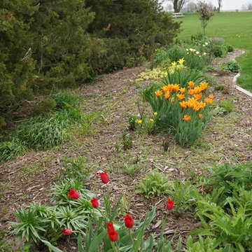 Beth's Garden 2014