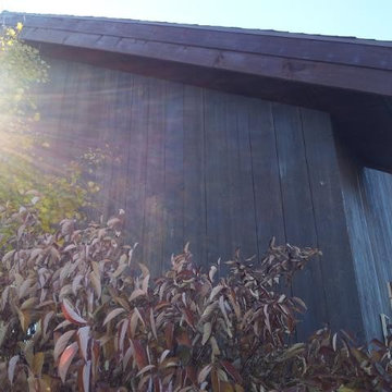 House Staining with Blue Cabot