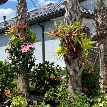 Making a House a Home in Florida!