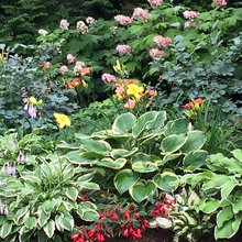 Cape-Landscaping