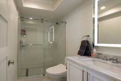 Inspiration for a bathroom remodel in Tampa