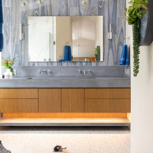 Master Bathroom Reno