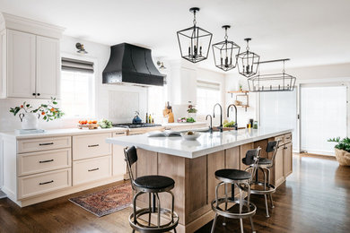 Kitchen - traditional kitchen idea in Chicago