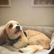 Amy Grossfeld's photo